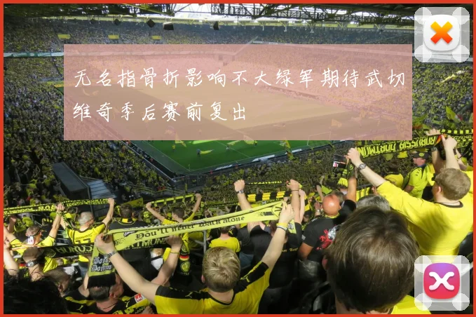 无名指骨折影响不大绿军期待武切维奇季后赛前复出