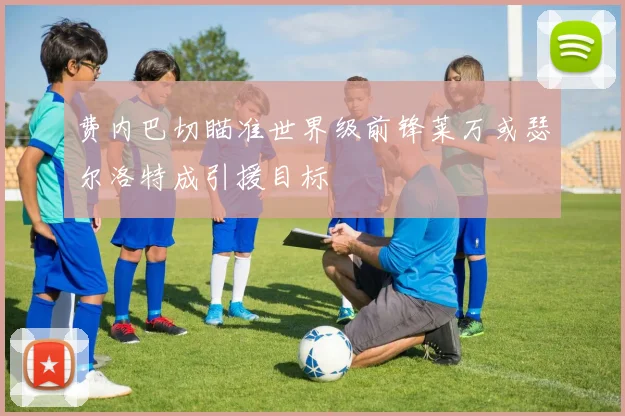 费内巴切瞄准世界级前锋莱万或瑟尔洛特成引援目标